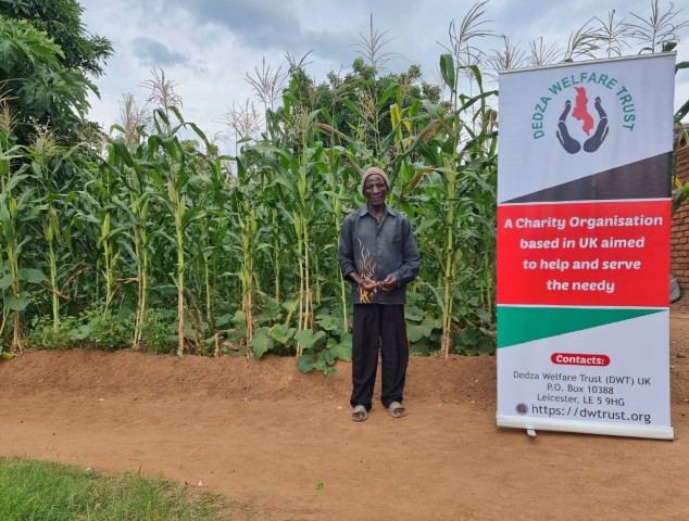 A farmer in his maize field beside a Dedza Welfare Trust banner